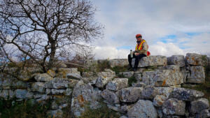 Istria Stonehenge