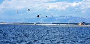 Taken from our boat.  Great day.