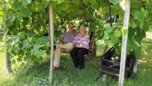 Campground in Zaluznica