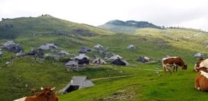 Velika Planina, Slovenia