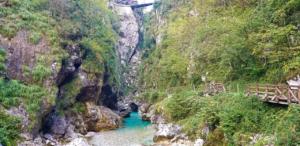 See the different bridges we crossed