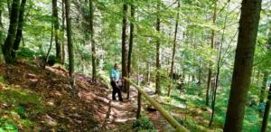 Hiking in Triglav National Park