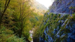 See the different bridges we crossed