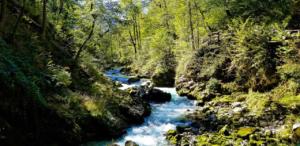 Vintgar Gorge near Bled
