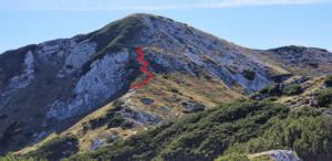 Red line shows tiny trail we gave up on