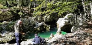 Elephant Rock in Mostnica Gorge