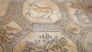 Almost 2,000 year old  mosaics - Phenomenal