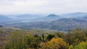 Damp and Misty - beautiful views