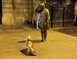 Columbo and Dog, Budapest