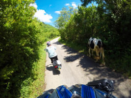 Two-way road for cars.  Lake Skadar region