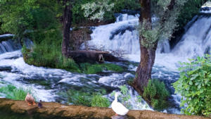 Kocusa Falls, Bosnia and Herzegovina