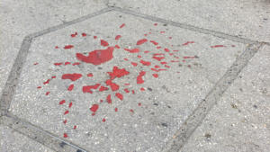 Sarajevo Rose