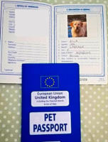 UK pet passport