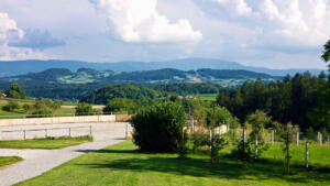View from Tanja's backyard including the paddock.