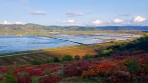 In Croatia viewing salt flats south of Piran, Slovenia