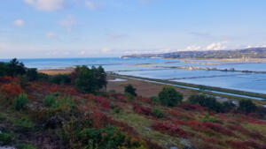 In Croatia viewing salt flats south of Piran, Slovenia