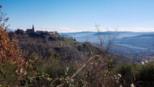 View of Grožnjan while cycling in the hills