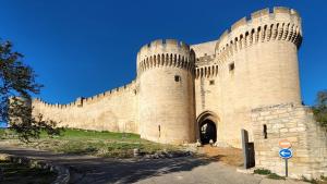 Fort Saint-André across the river from Avignon