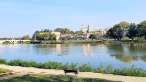 Avignon and the Rhône river