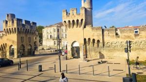 Avignon walls