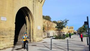 Avignon and its walls