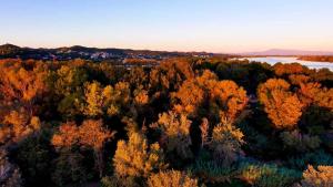 28 days here. Rhône River and our campsite at sunset late November, Aramon, France