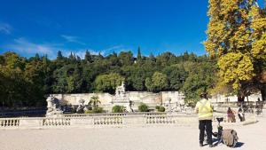 Cycling in Nîmes, France
