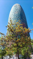 Barcelona "contemporary" office tower