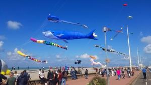 Internation Kite Festival, Dieppe