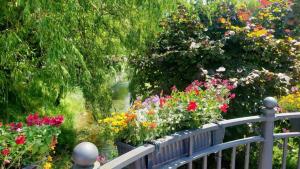 Vaduz, lovely flowers in the capital city of Liechtenstein