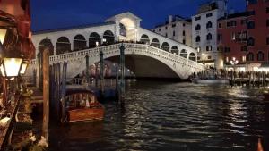 Rialto Bridge in Venice at night