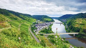 Mosel River, Neef in foreground and Sankt Aldegund in distance. Great area.