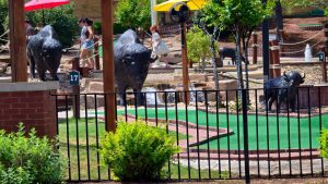 Interesting mini-golf in Oklahoma City