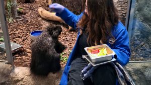 Sudbury's Science North, feeding a picky porpoise.
