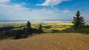 View from Cypress Hills Interprovincial Park, SK