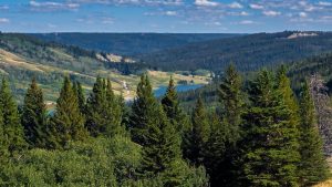 Cypress Hills Interprovincial Park in Alberta. Lovely area to explore.
