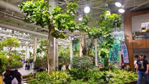 Devonian Gardens greenery in Core Shopping Mall, Calgary Alberta