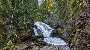 Brisco Falls filled with red Kokanee salmon ready to spawn.