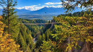 One of the skybridges at Golden's Skybridge Park in BC