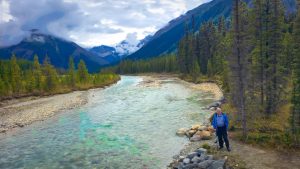 Finn Creek on Paint Pots trail in Kootenay NP
