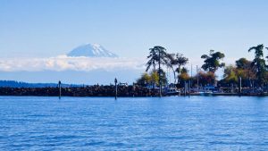 Mount Ranier as seen from our boat in Elliott Bay in Seattle