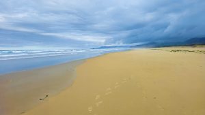 Miles of sandy beaches all along Oregon's coast. Our campground.