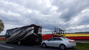 Netherlands Tulips galore    