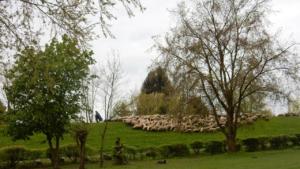 Our campsite near Hamburg   