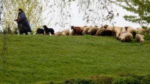 Our campsite near Hamburg   