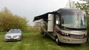 Cows behind, Baltic in front            