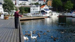 Lazy Sunday: Tvedestrand, Norway   