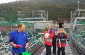 Salmon Farm, Fusa, Norway      