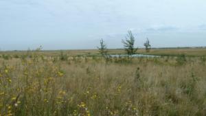 Fort-McMurray-Reclaimed-Land-from-tailings-pile 