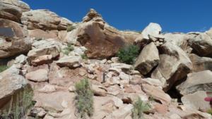Petroglyphs-approx-350-yrs-old-up-high 